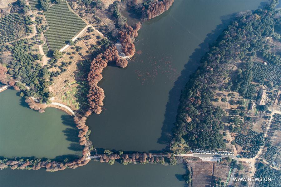 CHINA-HUBEI-WUHAN-EAST LAKE-GREENWAY (CN)