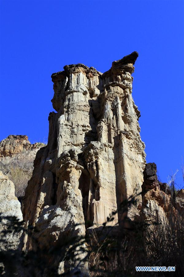 CHINA-YUNNAN-YUANMOU-EARTH FOREST (CN)