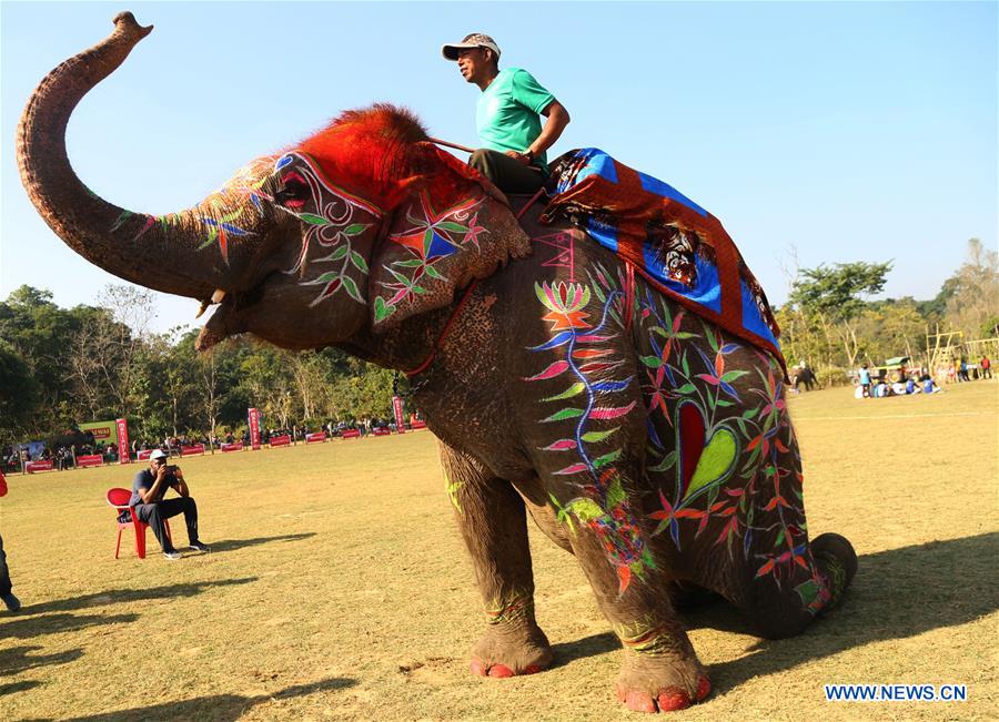 NEPAL-CHITWAN-ELEPHANT FESTIVAL