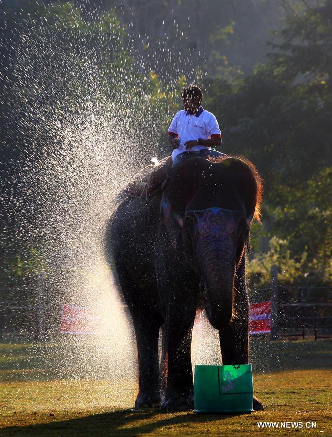 NEPAL-CHITWAN-14TH ELEPHANT FESTIVAL