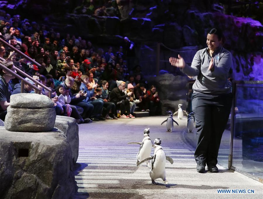 U.S.-CHICAGO-SHEDD AQUARIUM