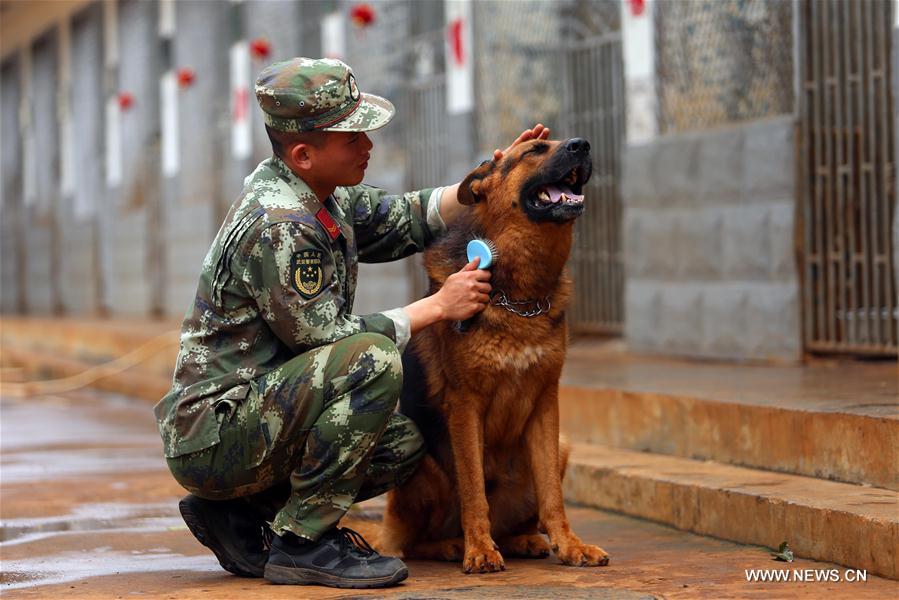 #CHINA-HAINAN-POLICE DOG-SPRING FESTIVAL-YEAR OF DOG(CN)