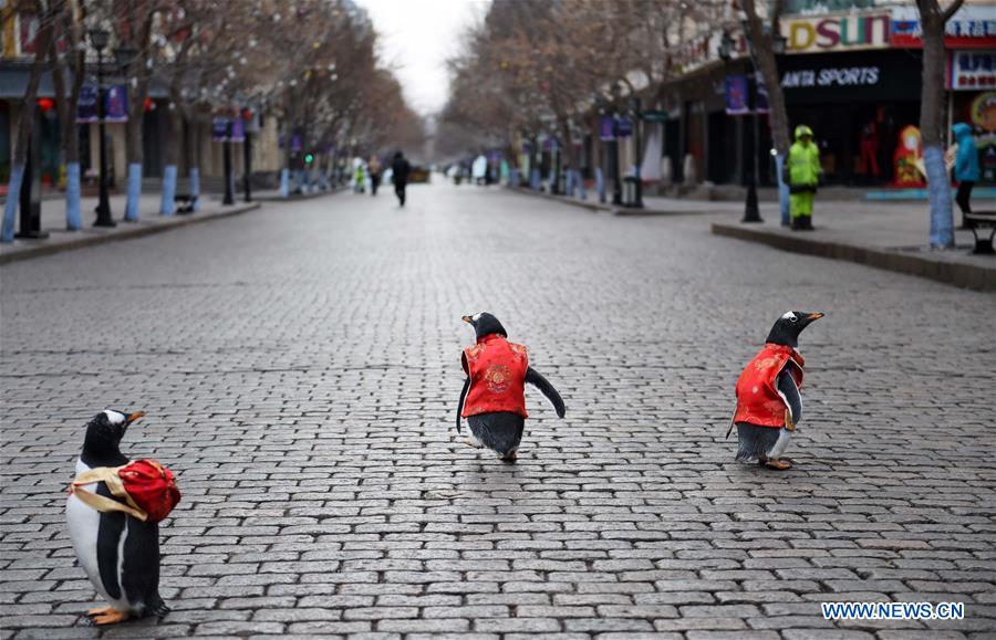 CHINA-HARBIN-PENGUIN-STREET(CN)