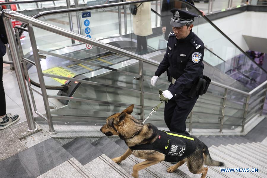 CHINA-GUIYANG-POLICE DOG (CN)