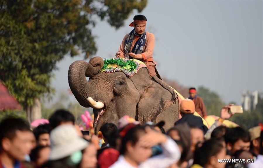 LAOS-SAYABULY-ELEPHANT FESTIVAL