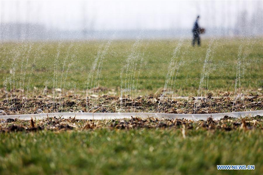 #CHINA-RURAL AREAS-FARM WORK (CN)