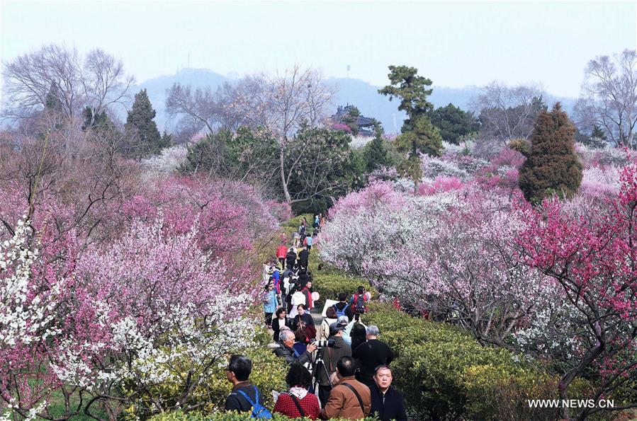 #CHINA-SPRING-BLOSSOMING FLOWERS (CN)