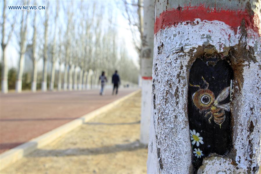 CHINA-NINGXIA-TREES-DRAWING (CN)