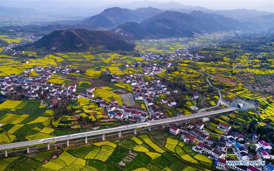 CHINA-SHAANXI-HANZHONG-RAPESEED FLOWER (CN)