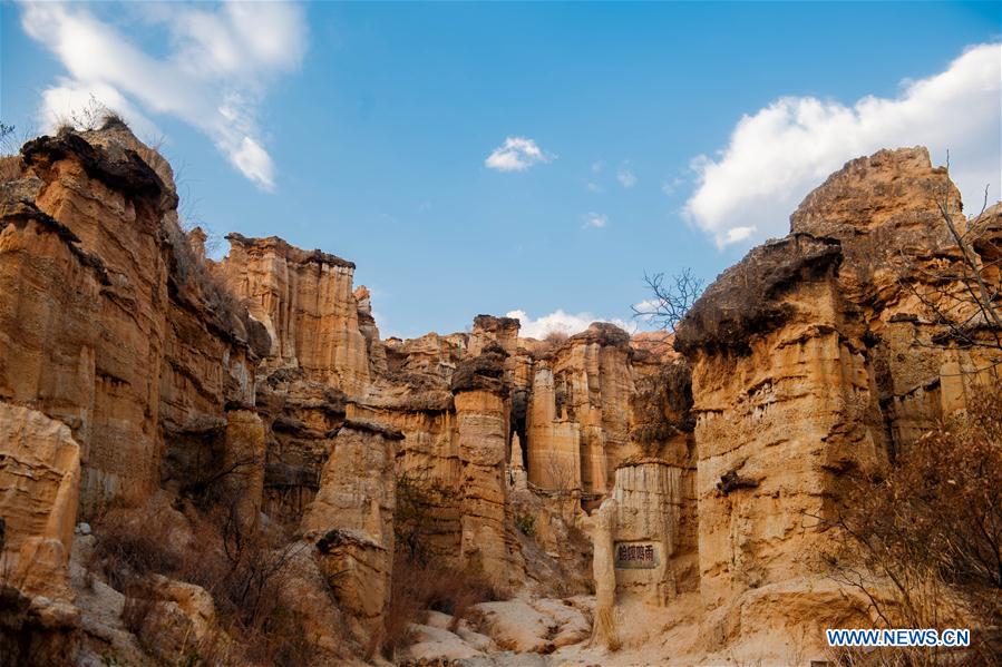 CHINA-YUNNAN-YUANMOU-EARTH FOREST (CN)