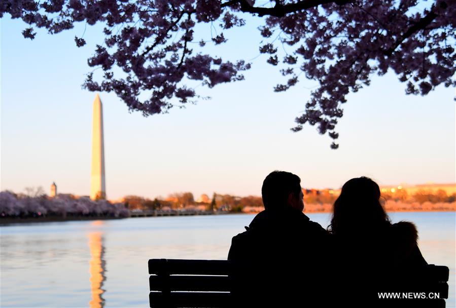 U.S.-WASHINGTON D.C.-CHERRY BLOSSOMS