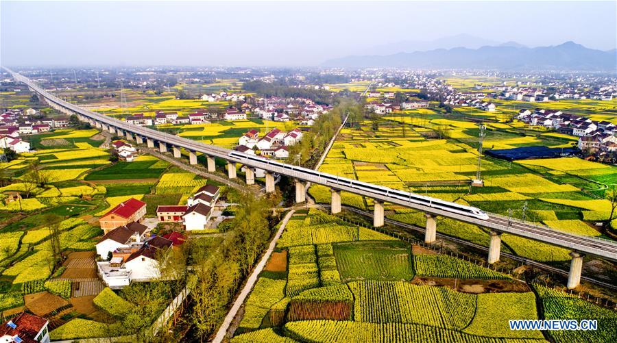 CHINA-SHAANXI-HANZHONG-FLOWER ECONOMY (CN)