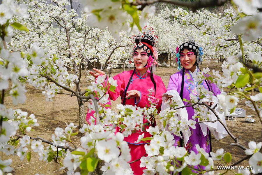 CHINA-HEBEI-SPRING LEISURE (CN)