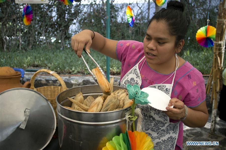 MEXICO-MEXICO CITY-CHOCOLATE AND COCOA FESTIVAL