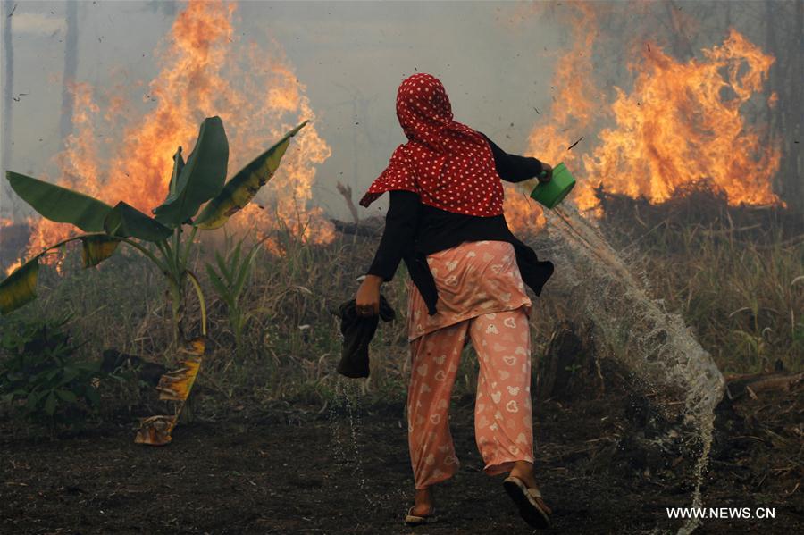 INDONESIA-RIAU-PEATLAND FIRE