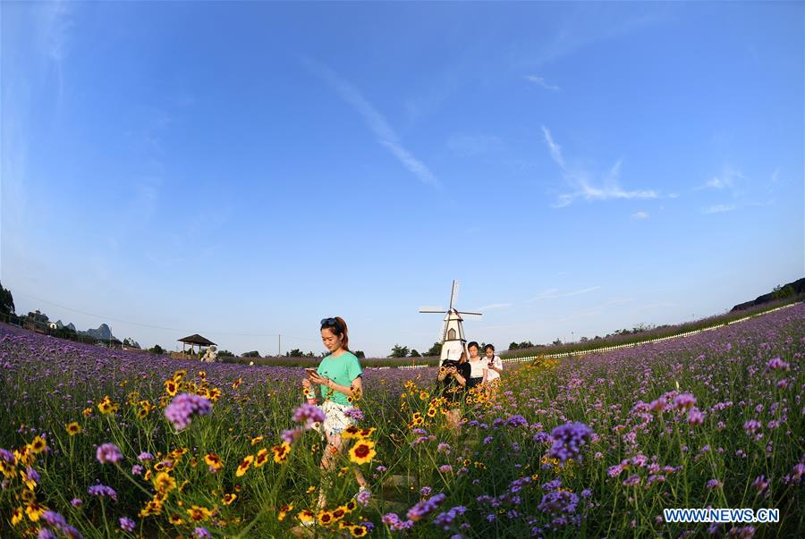 #CHINA-GUANGXI-LIUZHOU-FLOWERS (CN)