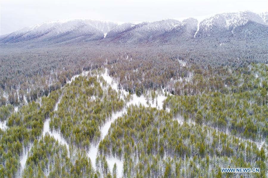 #CHINA-XINJIANG-HAMI-SNOW(CN)