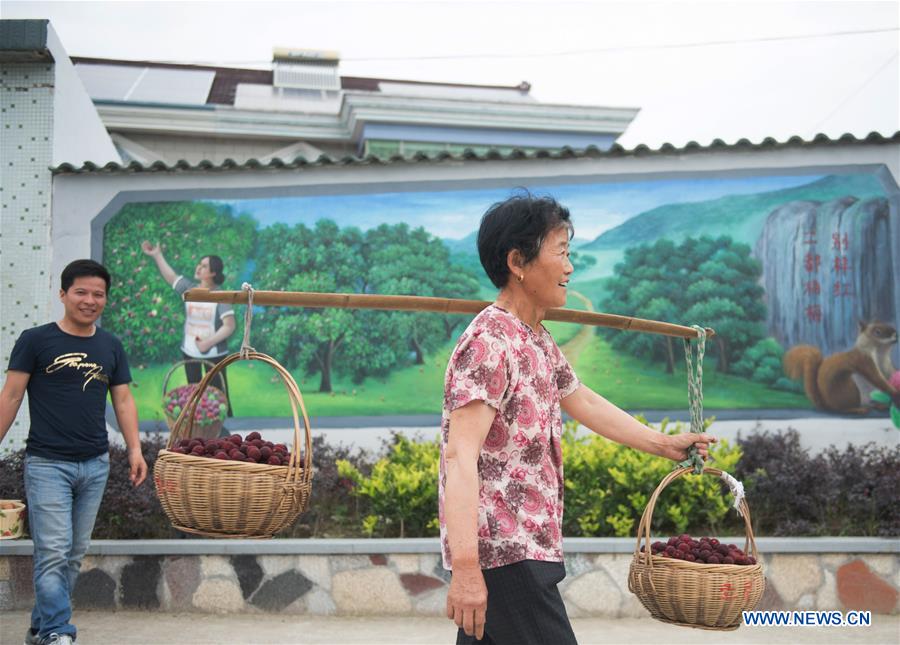 CHINA-ZHEJIANG-SHAOXING-WAXBERRY-HARVEST (CN)