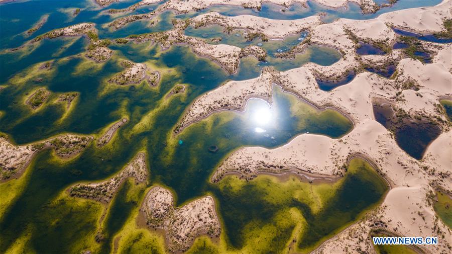 CHINA-INNER MONGOLIA-ORDOS-DESERT-WETLAND (CN)