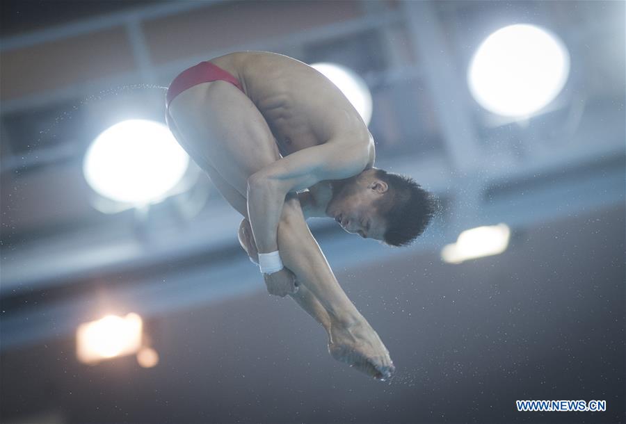 (SP)CHINA-WUHAN-DIVING-FINA-WORLD CUP (CN)