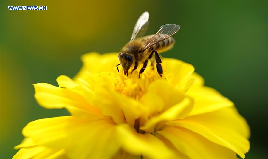 XINHUA PHOTO WEEKLY CHOICES