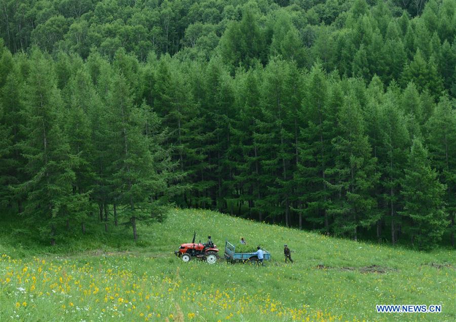 CHINA-ECOLOGICAL DEVELOPMENT-PROGRESS (CN)