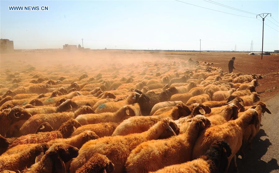 SYRIA-DARAA-DAILY LIFE