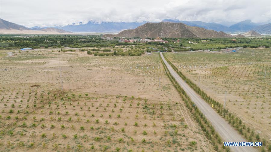 CHINA-TIBET-SHANNAN-DESERT CONTROL (CN)