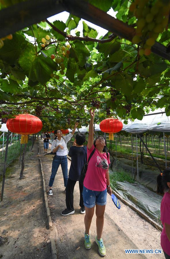 CHINA-ZHEJIANG-VILLAGE-TOURISM (CN)