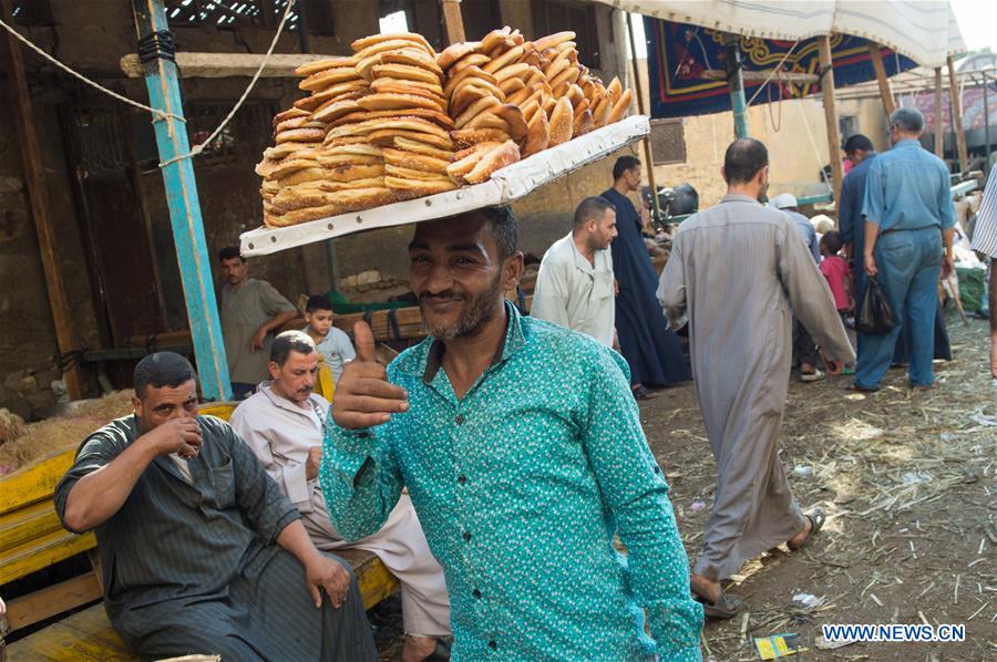 EGYPT-CAIRO-EID AL-ADHA-LIVESTOCK MARKET