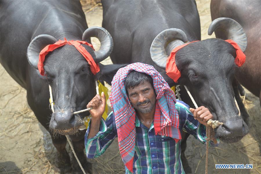 BANGLADESH-DHAKA-EID AL-ADHA-CATTLE-MARKET