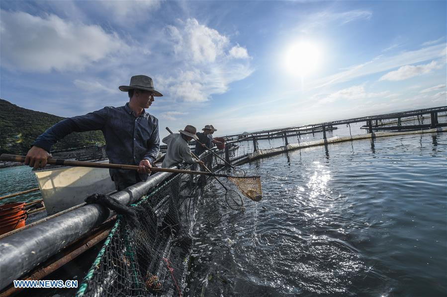 CHINA-ZHEJIANG-WENZHOU-MARICULTURE (CN)