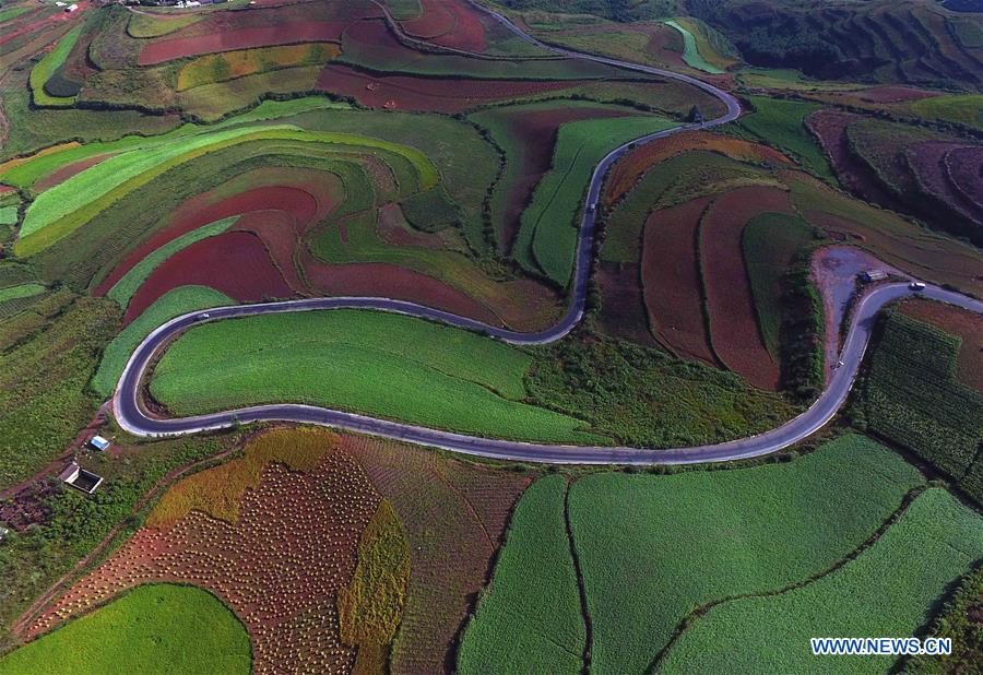 CHINA-YUNNAN-DONGCHUAN RED LAND-SCENERY (CN)