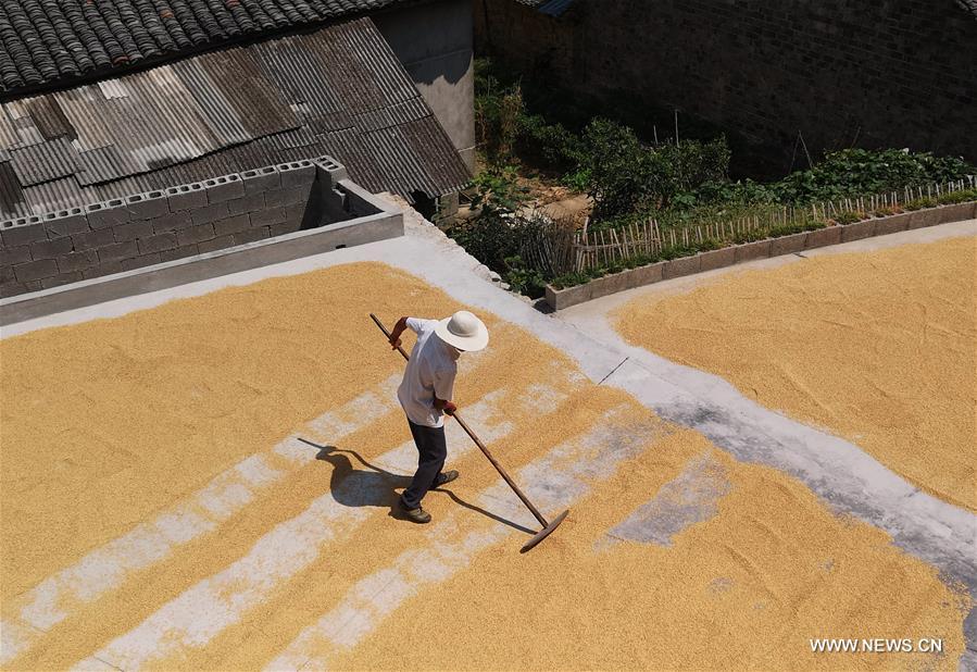 #CHINA-HUNAN-AUTUMN-HARVEST (CN)