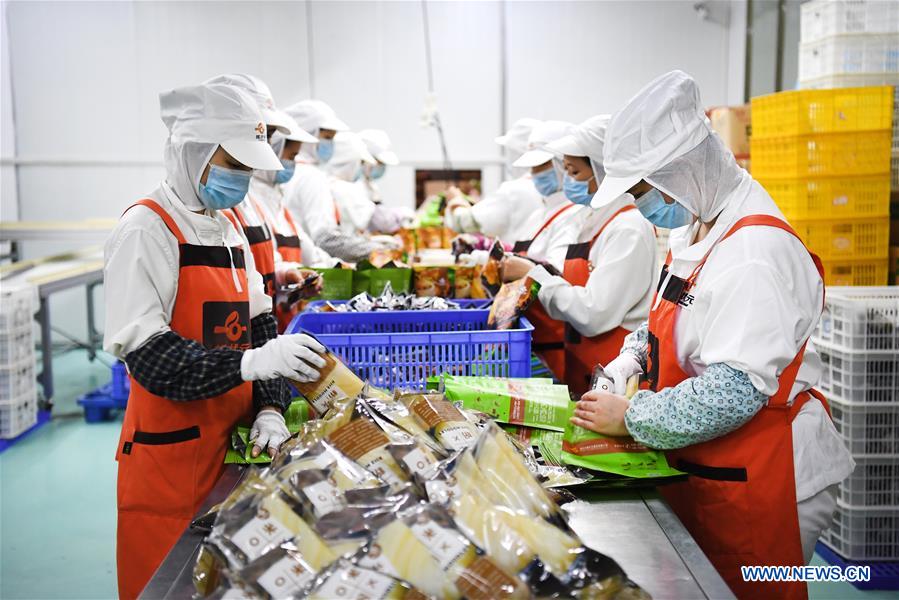 #CHINA-GUANGXI-LIUZHOU-RIVER SNAILS-HARVEST (CN)