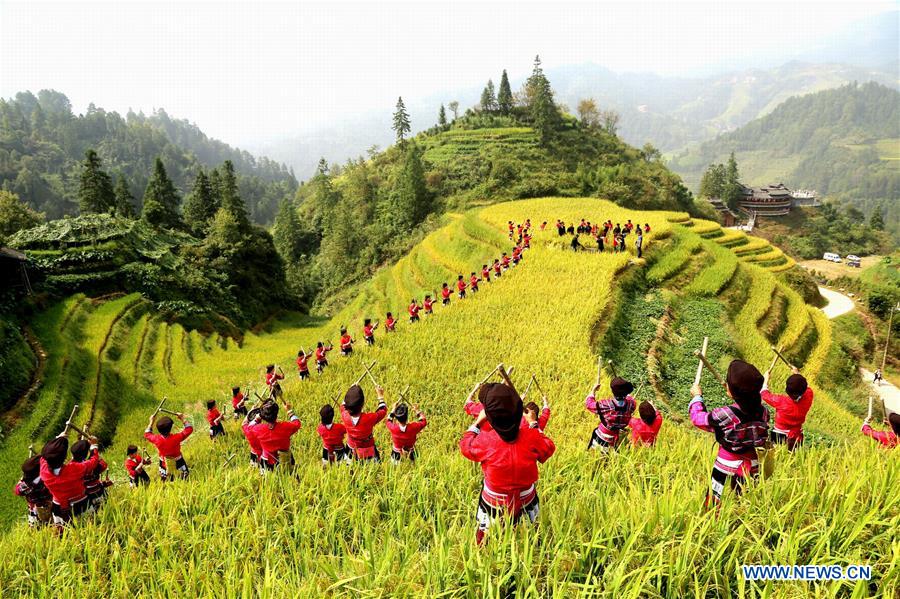 #CHINA-AGRICULTURE-HARVEST-FESTIVAL (CN)