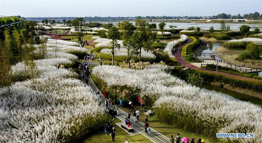 CHINA-SHAANXI-HANJIANG RIVER-WETLAND (CN)