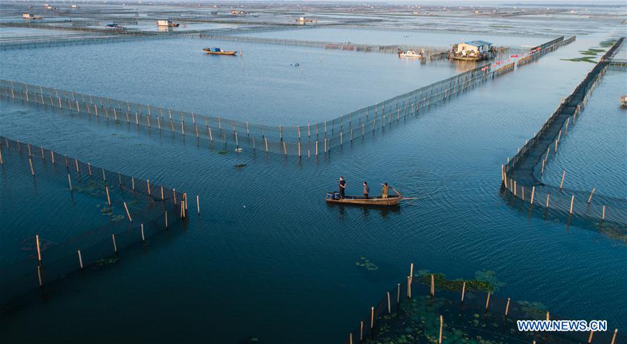 CHINA-JIANGSU-KUNSHAN-HAIRY CRAB CULTIVATOR (CN)