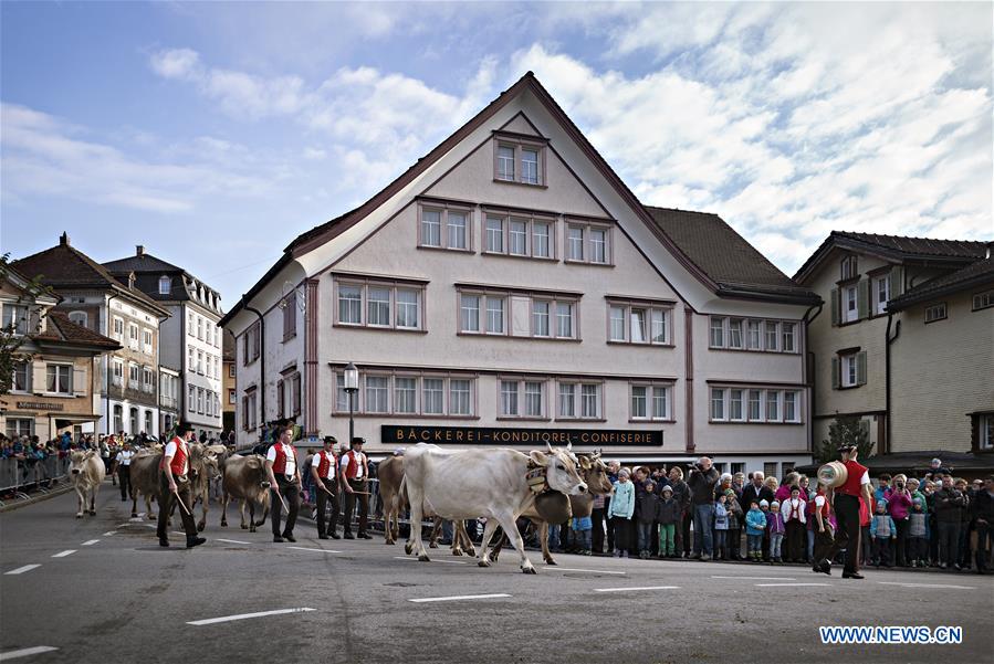 SWITZERLAND-APPENZELL-CATTLE SHOW