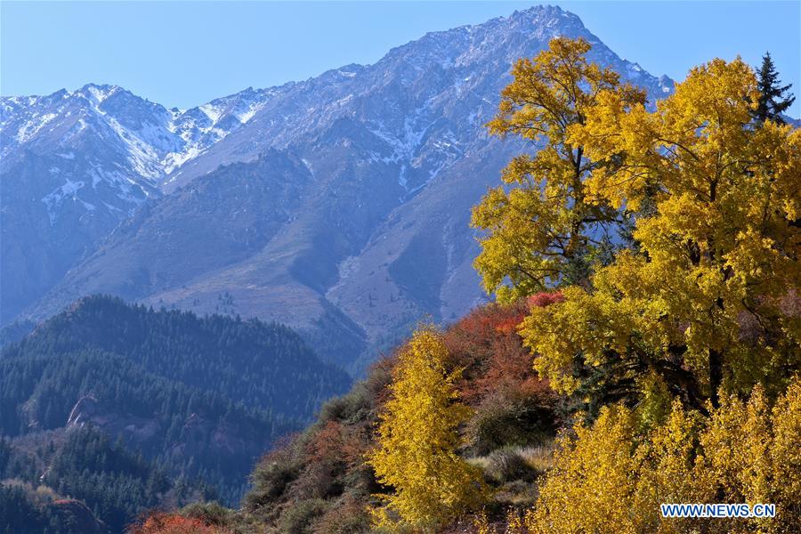 #CHINA-ZHANGYE-QILIAN MOUNTAINS-SCENERY (CN)