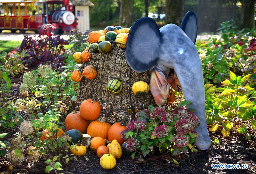 SLOVENIA-LJUBLJANA-FUNNY PUMPKIN EXHIBITION