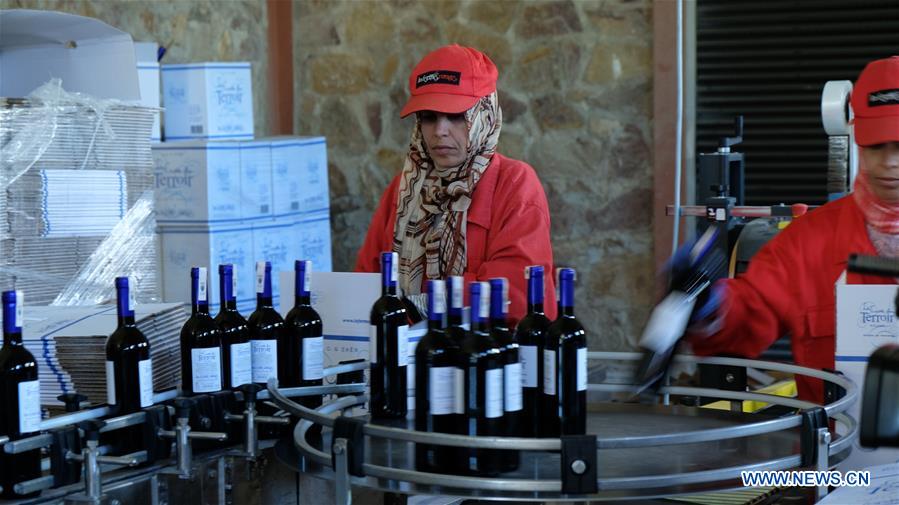 MOROCCO-ROMMANI-WINERY-CIIE