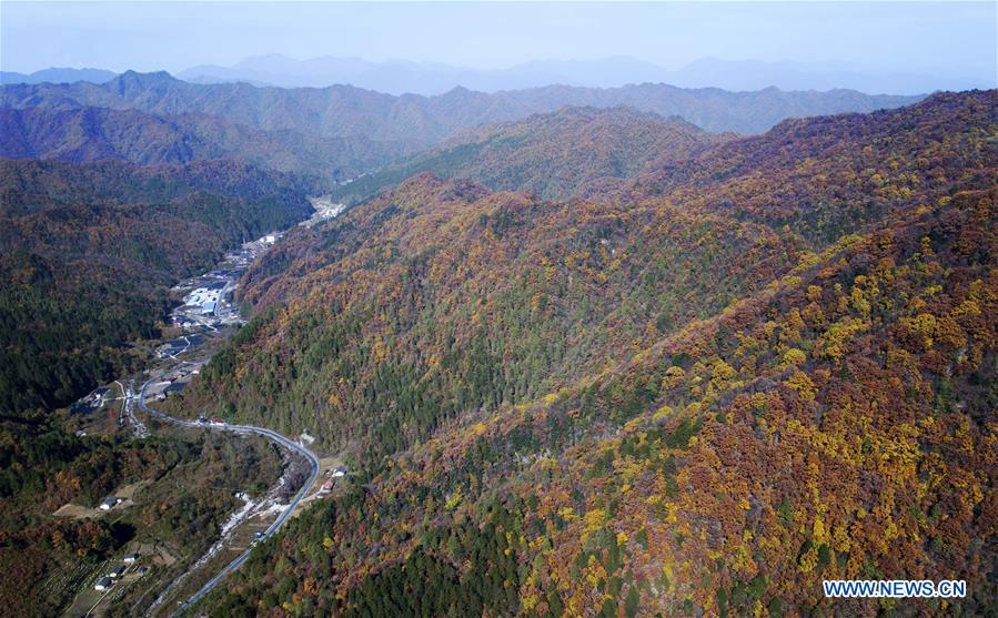 CHINA-QINLING MOUNTAINS-AUTUMN SCENERY(CN)