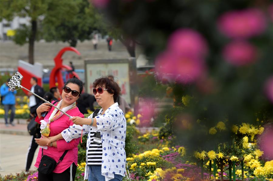 CHINA-JIANGXI-NANCHANG-CHRYSANTHEMUM SHOW (CN)