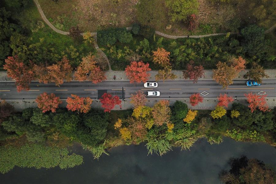 CHINA-ZHEJIANG-HANGZHOU-WEST LAKE-WINTER SCENERY (CN)