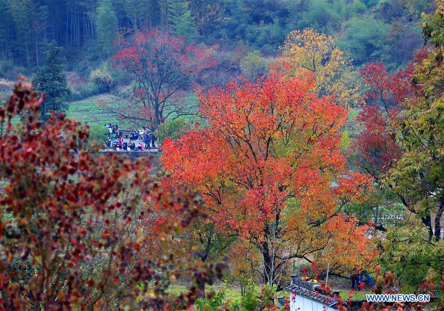 #CHINA-ANHUI-RURAL SCENERY (CN)