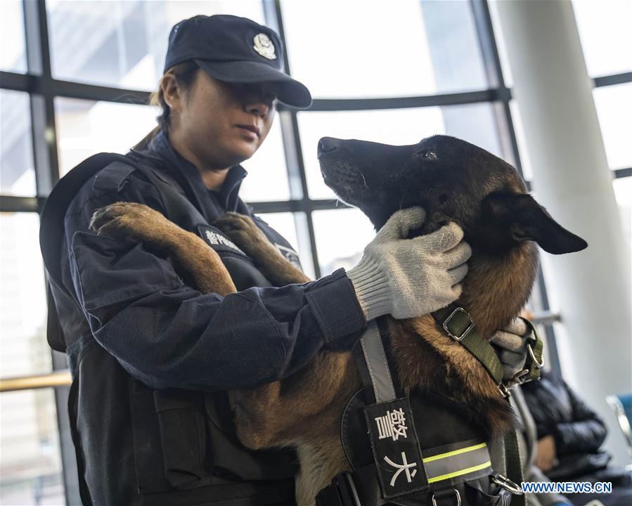 CHINA-BEIJING-POLICE DOG-SKILL COMPETITION (CN)