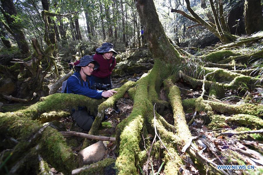 CHINA-FUJIAN-MOUNT WUYI-SCIENTIFIC EXPEDITION (CN)