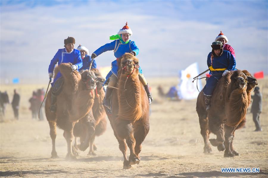 CHINA-INNER MONGOLIA-BAYAN NUR-CAMEL FESTIVAL (CN)