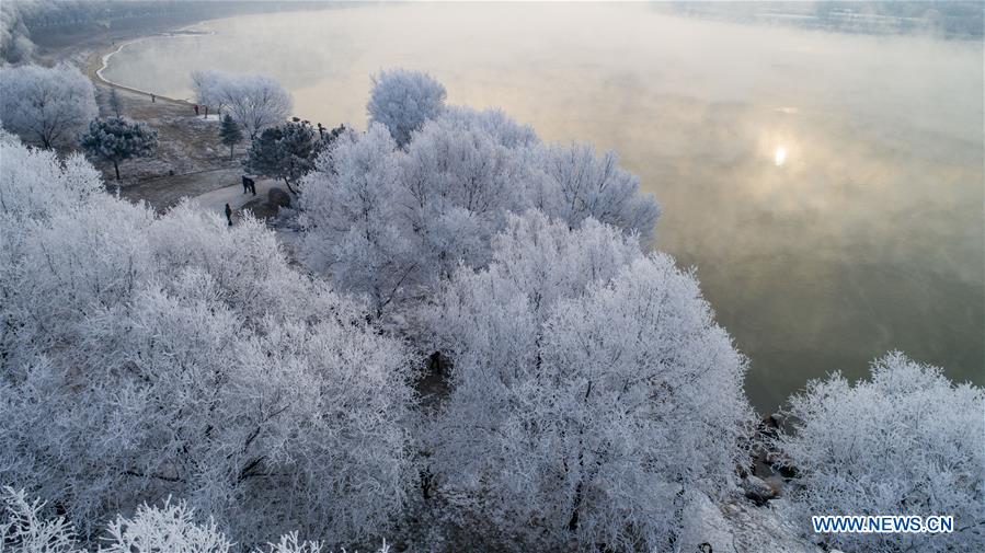 #CHINA-JILIN-FROSTY SCENERY(CN)